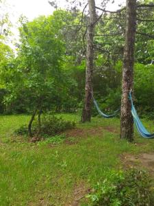 Κήπος έξω από το Lodging Vidmar