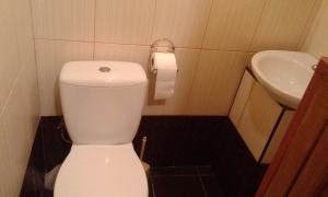 Un baño pequeño con inodoro y lavabo. en Минигостиница, en Kryzhanivka 14 fotos más