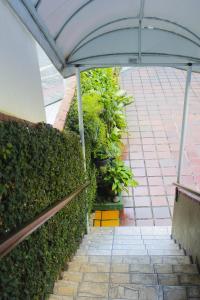 a walkway with some plants in a building at Hotel Paraná BC in Balneário Camboriú