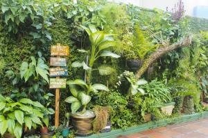 un jardín con muchas plantas y carteles en Hotel Paraná BC en Balneario Camboriú