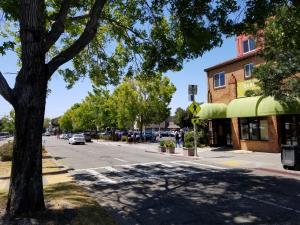 a street in a town with a tree and a building at SenS Hotel & Vanne Bistro Berkeley in Berkeley