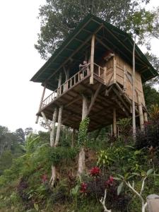 Gallery image of Bali Tree House Pelangi in Bedugul