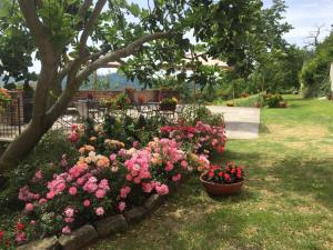 Vonkajšia záhrada v ubytovaní La Cantinetta Resort