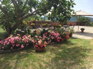Vonkajšia záhrada v ubytovaní La Cantinetta Resort