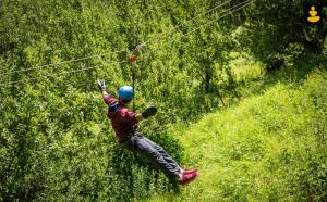 Gallery image of LivingStone Ojuven Treehouses in Shimla