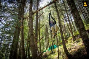 صورة لـ LivingStone Ojuven Treehouses في شيملا