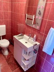 een badkamer met een witte wastafel en een toilet bij Eroilor Apartment in Cluj-Napoca