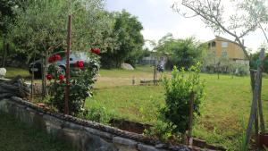 Vườn quanh Rooms and Apartments V&M