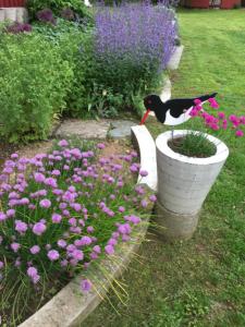 Un jardín fuera de Dövared