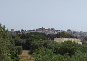 Táj az apartman közelében