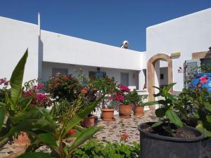 a courtyard with potted plants in front of a building at Australis in Skala