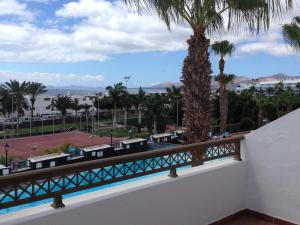z balkonu ośrodka z palmami w obiekcie CDM, Puerto del Carmen, entre Playa Chica y Playa Grande w Puerto del Carmen