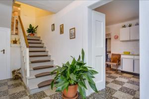 a staircase in a home with a potted plant at Apartments Ivna in Veli Lošinj