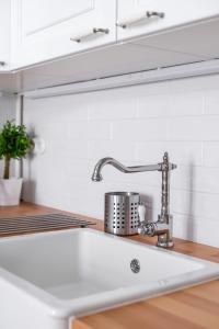 a kitchen counter with a sink and a sink at Spacious Victorian Residence by Grand Boulevard in Budapest