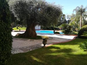 Бассейн в Hotel Arbatasar или поблизости