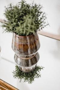 a vase filled with greenery sitting on a table at Das Gästehaus in Sankt Veit am Vogau