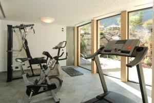 Fitness centrum a/nebo fitness zařízení v ubytování Hotel Gran Paradis