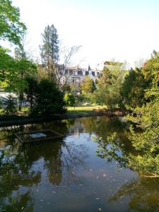 a pond with a boat in the middle of a park at Appartement François 1er in Vichy