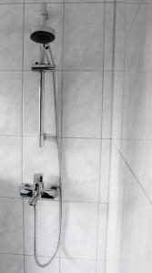 a shower with a shower head in a bathroom at ZV-Scholtz Gästehaus Neuötting Simbacher Straße 7 in Neuötting