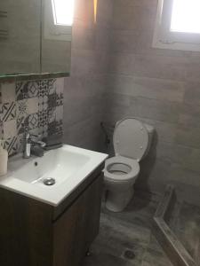 a bathroom with a toilet and a sink at Annasol Maison in Kallirákhi