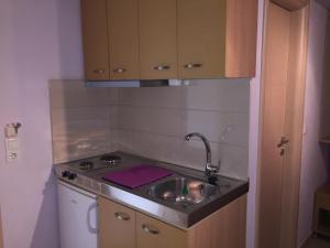 Kuchyň nebo kuchyňský kout v ubytování Dimis Studios and Apartments