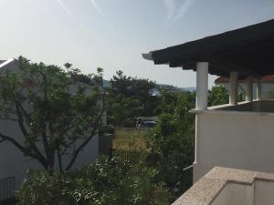 Foto dalla galleria di Apartman Iva a Stara Novalja Altre 5 foto