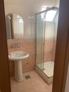 bagno con lavandino e doccia in vetro di Apartments Dibra a Ulcinj