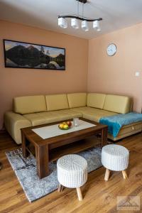 Χώρος καθιστικού στο Apartment Eric,High Tatras