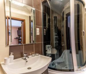 Kylpyhuone majoituspaikassa Apartment Eric,High Tatras