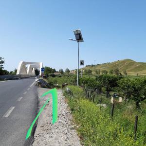 San SosteneにあるIl pino marittimoの道路脇の緑矢