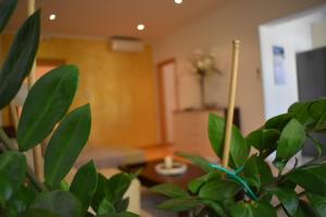 Fotografie z fotogalerie ubytování Fantasy Apartment v destinaci Korčula