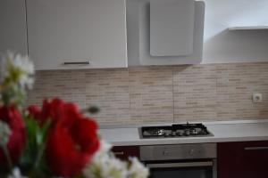 Fotografie z fotogalerie ubytování Fantasy Apartment v destinaci Korčula