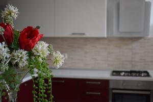 Fotografie z fotogalerie ubytování Fantasy Apartment v destinaci Korčula