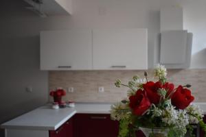 Fotografie z fotogalerie ubytování Fantasy Apartment v destinaci Korčula