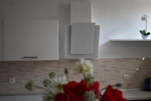 Fotografie z fotogalerie ubytování Fantasy Apartment v destinaci Korčula