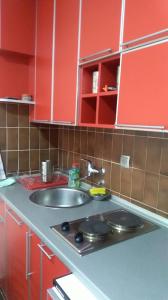 Una cocina o cocineta en Sunčani apartman 1-Vila Amfora