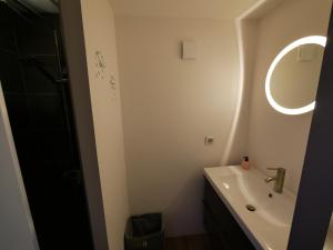uma casa de banho com um lavatório e um espelho em Gites Spa Strasbourg - L'annexe em Furdenheim