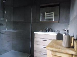 a bathroom with a shower and a sink at Votre Horizon in Aywaille
