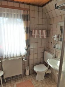 A bathroom at Pension Milberg Assmannshausen