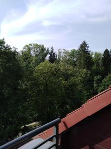 Príroda v okolí apartmánu