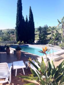 una piscina con 2 sillas blancas y árboles en Villa de La Rosa, en Málaga