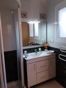 a bathroom with a sink and a shower at Villa de La Rosa in Málaga