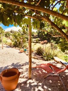 Um jardim no exterior de Quinta Quatro Ventos