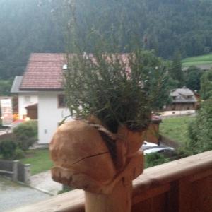 a plant in a pot on a wooden railing at Apartments Resi in Rasùn di Sotto