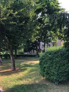 a yard with trees and a house in the background at Apartament Chrobrego 269 in Biała Podlaska