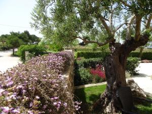 a tree in a garden with flowers at Masseria Bandino & Spa in Otranto