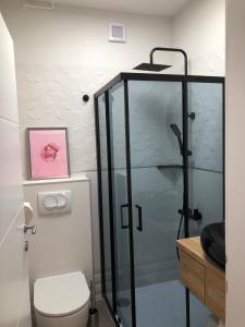 uma casa de banho com uma cabina de duche em vidro e um WC. em Apartmani ROBERTA em Bol
