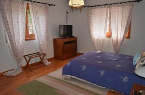 a bedroom with a bed and a tv and curtains at Quinta das Ameixas - Country & Nature in Arouca