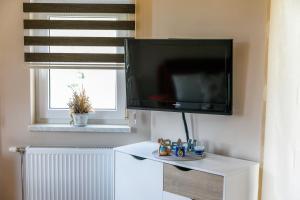 TV a/nebo společenská místnost v ubytování Apartment Medved