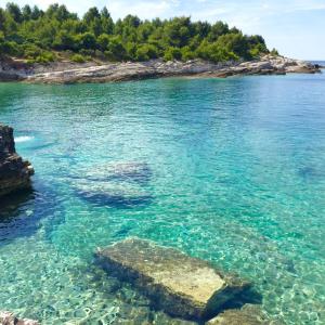 Fotografie z fotogalerie ubytování Sanda v destinaci Banjole